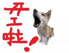 大歐，大歐，開工嘍~~~旺旺旺